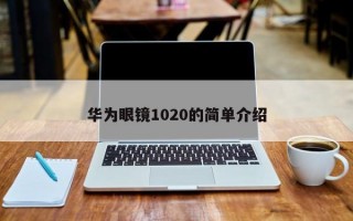 华为眼镜1020的简单介绍