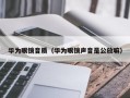 华为眼镜音质（华为眼镜声音是公放嘛）