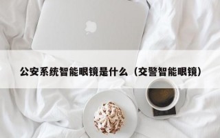 公安系统智能眼镜是什么（交警智能眼镜）